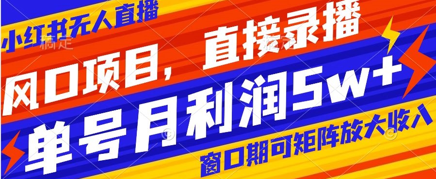 风口项目，小红书无人直播带货，直接录播，可矩阵，月入5w+【揭秘】-16888副业资讯