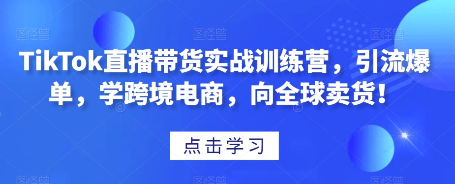TikTok直播带货实战训练营，引流爆单，学跨境电商，向全球卖货！-16888副业资讯