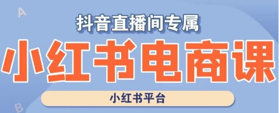 小红书电商高级运营课程，实操教学+案例分析-16888副业资讯