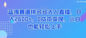 蓝海赛道拼多多无人直播，日入2600+，0成本变现，小白也能轻松上手【揭秘】-16888副业资讯