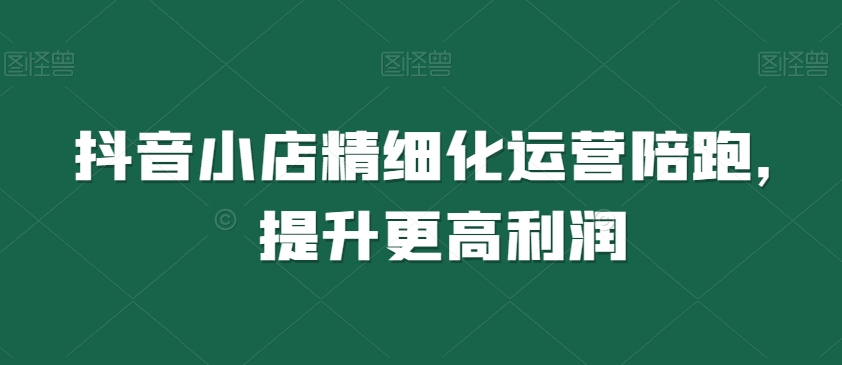 抖音小店精细化运营陪跑，提升更高利润-16888副业资讯