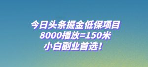 今日头条掘金低保项目，8000播放=150米，小白副业首选【揭秘】-16888副业资讯