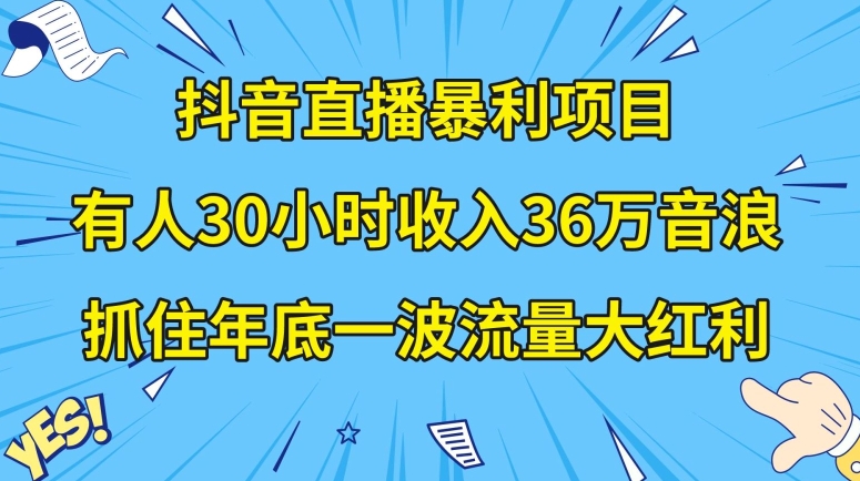 抖音直播暴利项目，有人30小时收入36万音浪，公司宣传片年会视频制作，抓住年底一波流量大红利【揭秘】-16888副业资讯