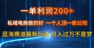 一单利润200私域电商做的好，一个人顶一家公司蓝海赛道最新玩法【揭秘】-16888副业资讯