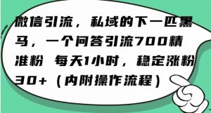 怎么搞精准创业粉？微信新赛道，每天一小时，利用Ai一个问答日引100精准粉-16888副业资讯
