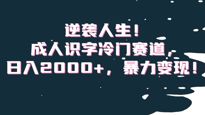 逆袭人生！成人识字冷门赛道，日入2000+，暴力变现！【揭秘】-16888副业资讯