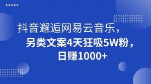 抖音邂逅网易云音乐，另类文案4天狂吸5W粉，日赚1000+【揭秘】-16888副业资讯