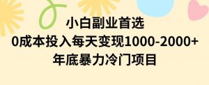 小白副业首选，0成本投入，每天变现1000-2000年底暴力冷门项目【揭秘】-16888副业资讯
