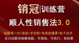 爆款!销冠训练营3.0之顺人性销售法,全方位解决销售难题、可落地、可执行、有结果-16888副业资讯