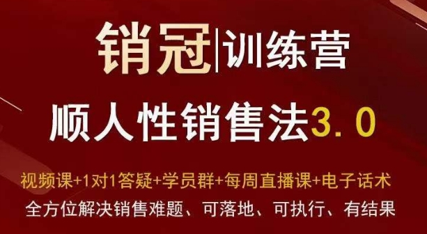 爆款！销冠训练营3.0之顺人性销售法，全方位解决销售难题、可落地、可执行、有结果-16888副业资讯