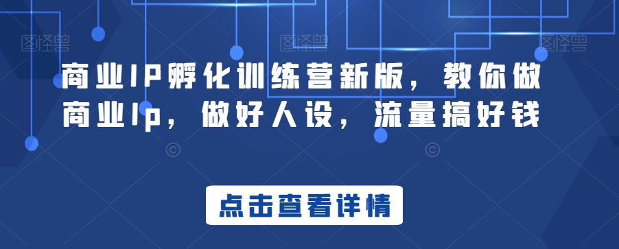 商业IP孵化训练营新版，教你做商业Ip，做好人设，流量搞好钱-16888副业资讯