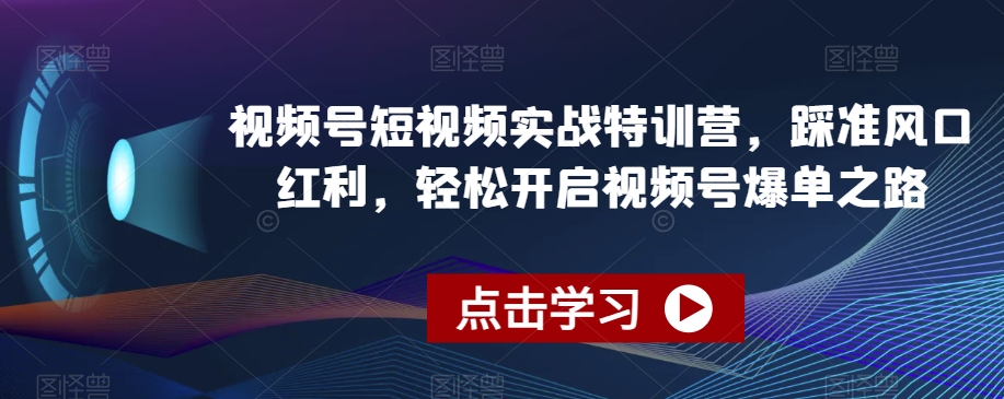 视频号短视频实战特训营，踩准风口红利，轻松开启视频号爆单之路-16888副业资讯