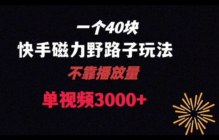 一个40块，快手联合美团磁力新玩法，无视机制野路子玩法，单视频收益4位数【揭秘】-16888副业资讯