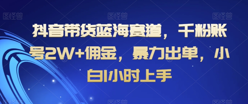 抖音带货蓝海赛道，千粉账号2W+佣金，暴力出单，小白1小时上手【揭秘】-16888副业资讯
