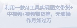 利用一款AI工具实现图文带货+中视频+视频带货等,无脑操作月如过万【揭秘】-16888副业资讯