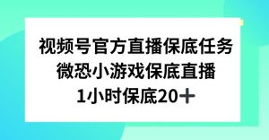 视频号直播任务，微恐小游戏，1小时20+【揭秘】-16888副业资讯