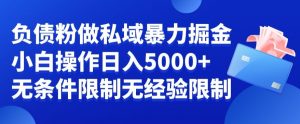 负债粉私域暴力掘金,小白操作入5000,无经验限制,无条件限制【揭秘】-16888副业资讯