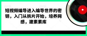 短视频编导进入编导世界的密钥，入门从拆片开始，培养网感，建素素库-16888副业资讯