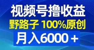视频号野路子撸收益，100%原创，条条爆款，月入6000＋【揭秘】-16888副业资讯