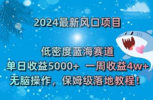 2024最新风口项目，低密度蓝海赛道，单日收益5000+，一周收益4w+！【揭秘】-16888副业资讯