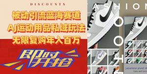 被动引流蓝海赛道，AJ运动用品私域玩法，无限复购年入百万【揭秘】-16888副业资讯
