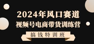 2024年风口赛道视频号电商带货训练营搞钱特训班，带领大家快速入局自媒体电商带货-16888副业资讯