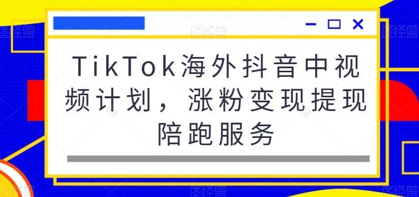TikTok海外抖音中视频计划，涨粉变现提现陪跑服务-16888副业资讯