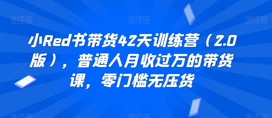 小Red书带货42天训练营（2.0版），普通人月收过万的带货课，零门槛无压货-16888副业资讯
