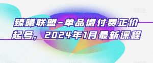 臻曦联盟-单品微付费正价起号，2024年1月最新课程-16888副业资讯