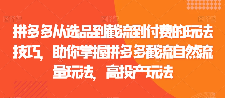 拼多多从选品到截流到付费的玩法技巧，助你掌握拼多多截流自然流量玩法，高投产玩法-16888副业资讯