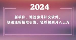2024新项目,通过国外社交软件,快速涨粉精准引流,轻松做到月入上万【揭秘】-16888副业资讯