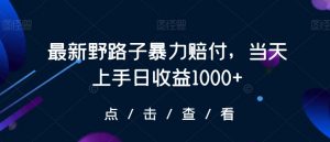 最新野路子暴力赔付，当天上手日收益1000+【仅揭秘】-16888副业资讯