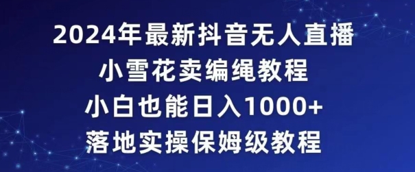 2024年抖音最新无人直播小雪花卖编绳项目，小白也能日入1000+落地实操保姆级教程【揭秘】-16888副业资讯