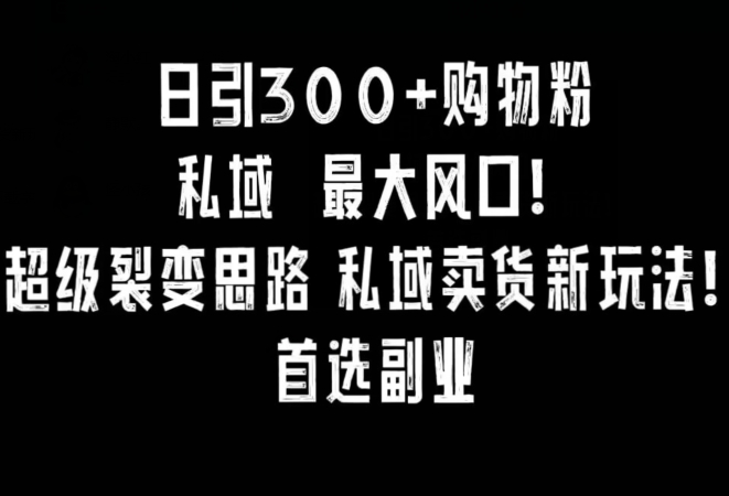 日引300+购物粉，超级裂变思路，私域卖货新玩法，小红书首选副业【揭秘】-16888副业资讯