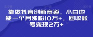 靠做抖音创新赛道，小白也能一个月涨粉10万+，回收账号变现2万+【揭秘】-16888副业资讯