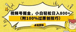 视频号掘金，小白轻松日入800+（附100%过原创技巧）【揭秘】-16888副业资讯