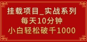 挂载项目，小白轻松破1000，每天10分钟，实战系列保姆级教程【揭秘】-16888副业资讯