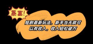 短剧最新玩法,新手当天就可以有收入,收入轻松破万【揭秘】-16888副业资讯