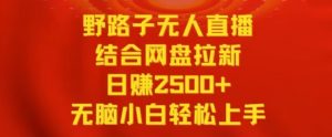 野路子无人直播结合网盘拉新,日赚2500+,小白无脑轻松上手【揭秘】-16888副业资讯