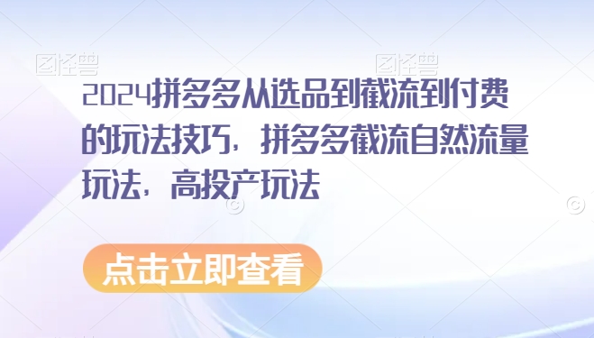2024拼多多从选品到截流到付费的玩法技巧，拼多多截流自然流量玩法，高投产玩法-16888副业资讯