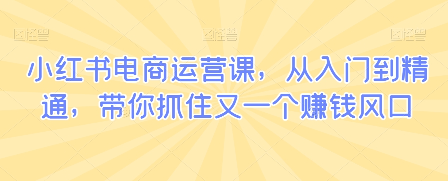 小红书电商运营课，从入门到精通，带你抓住又一个赚钱风口-16888副业资讯
