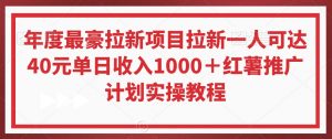 年度最豪拉新项目拉新一人可达40元单日收入1000＋红薯推广计划实操教程【揭秘】-16888副业资讯
