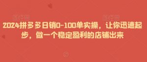 2024拼多多日销0-100单实操,让你迅速起步,做一个稳定盈利的店铺出来-16888副业资讯