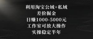 利用淘宝公域+私域差价掘金，日赚1000-5000元，工作室可放大操作，实操稳定半年【揭秘】-16888副业资讯