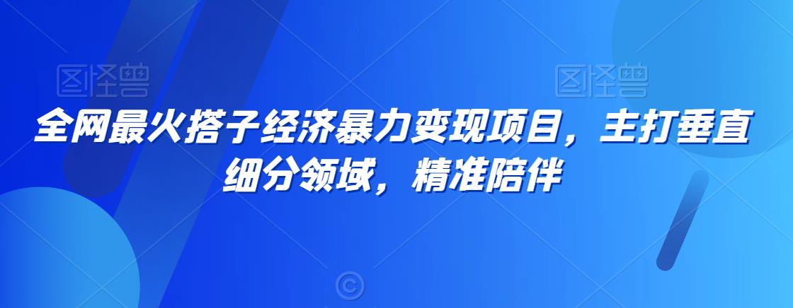 全网最火搭子经济暴力变现项目，主打垂直细分领域，精准陪伴【揭秘】-16888副业资讯
