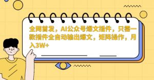 全网首发，AI公众号爆文插件，只需一款插件全自动输出爆文，矩阵操作，月入3W+【揭秘】-16888副业资讯