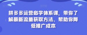 拼多多运营必学体系课，带你了解最新流量获取方法、帮助你降低推广成本-16888副业资讯