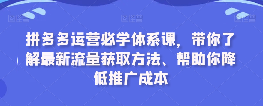 拼多多运营必学体系课，带你了解最新流量获取方法、帮助你降低推广成本-16888副业资讯