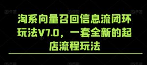 淘系向量召回信息流闭环玩法V7.0，一套全新的起店流程玩法-16888副业资讯