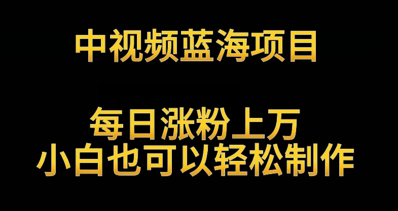 中视频蓝海项目，解读英雄人物生平，每日涨粉上万，小白也可以轻松制作，月入过万不是梦【揭秘】-16888副业资讯